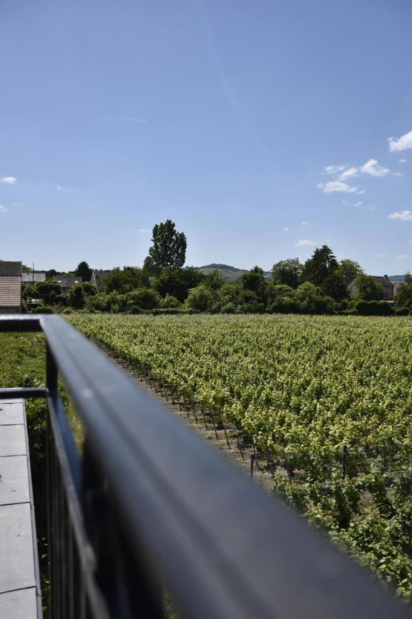 Manoir Henri Giraud & Spa Ay-Champagne Luaran gambar